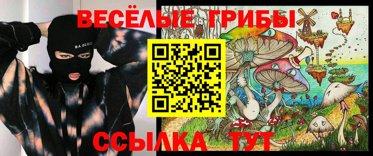 Баксан  Псилоцибиновые грибы мицелий  Вход с VPN 